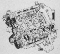 zdjcie 20
